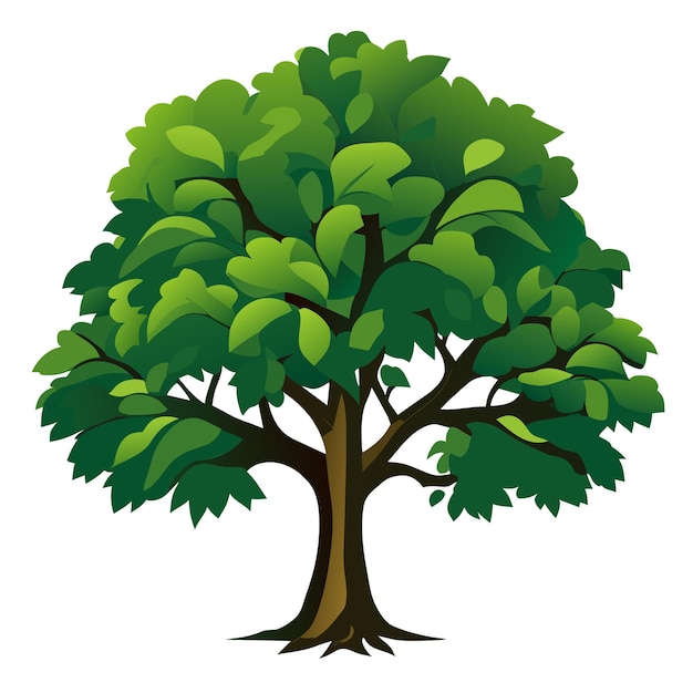 Vector flat vector art of a detailed 2d vector oak tree illustration