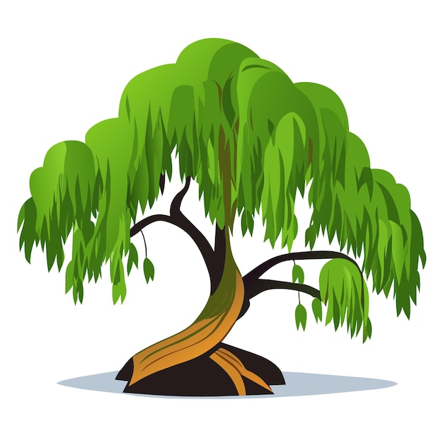 Flat Vector Art of a Detailed 2D Vector Willow Tree Illustration