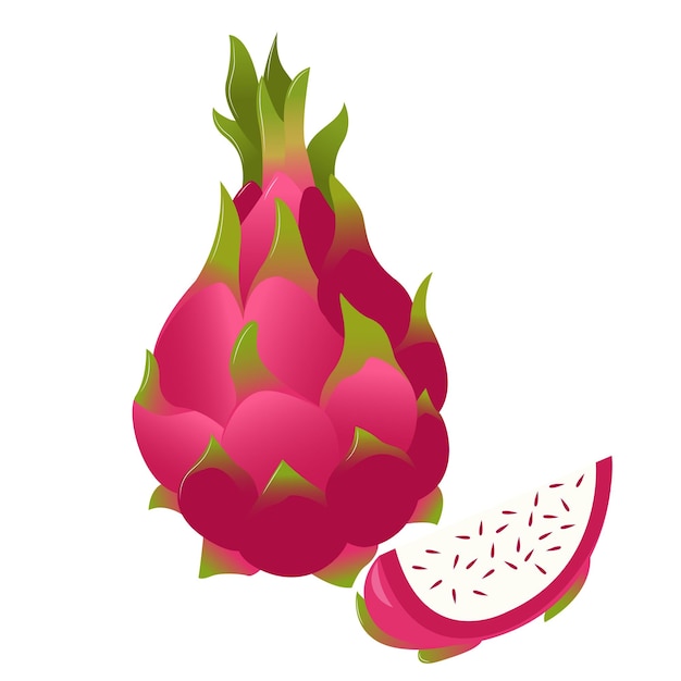 Flat vector dragon fruit. Tropic fruit. Banner. Fruit logo.