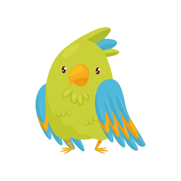 Flat vector icon of cute green parrot cartoon character of bird with bright feathers and shiny eyes