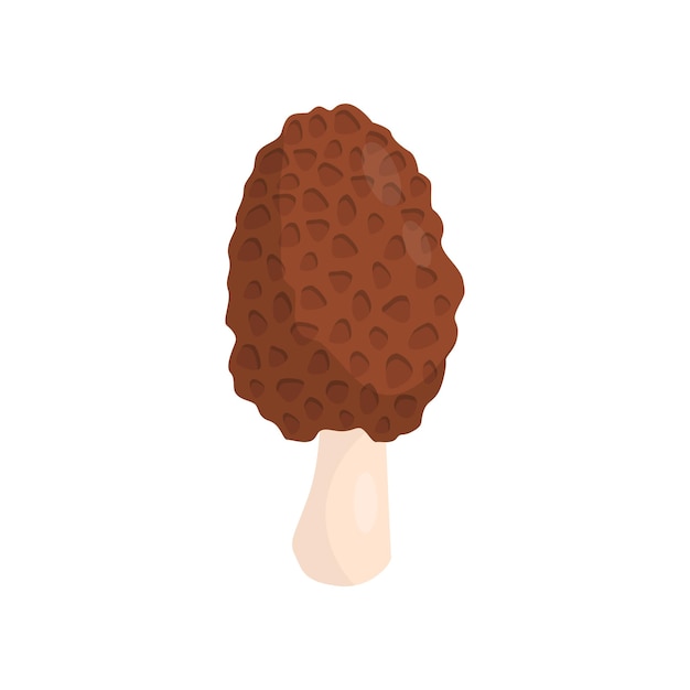 Flat vector icon of edible morchella or morel mushroom Natural product Raw vegetarian food Element for poster banner or book