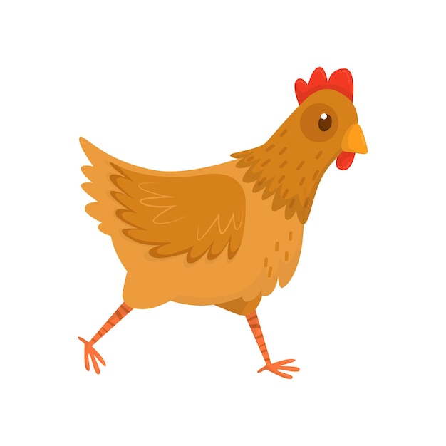 Flat vector icon of running hen Chicken with brown feathers and red scallop Farm bird Domestic fowl