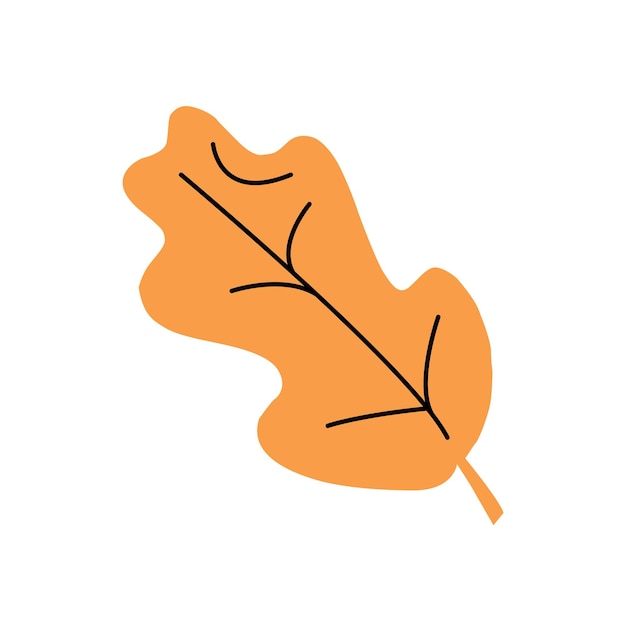 Flat Vector illustration autumn orange leaf on white background