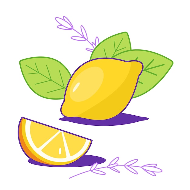 flat vector illustration lemons with leaves citrus half of lemon chopped lemon lemon slice