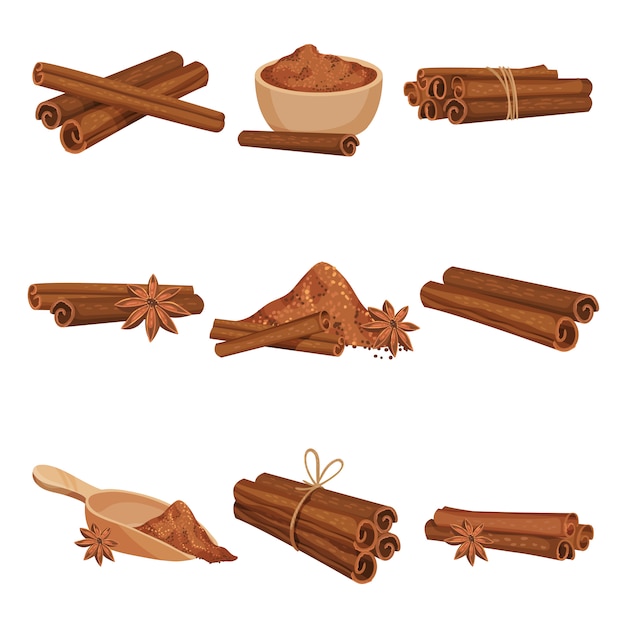 Flat vector set of rolled cinnamon sticks and powder.