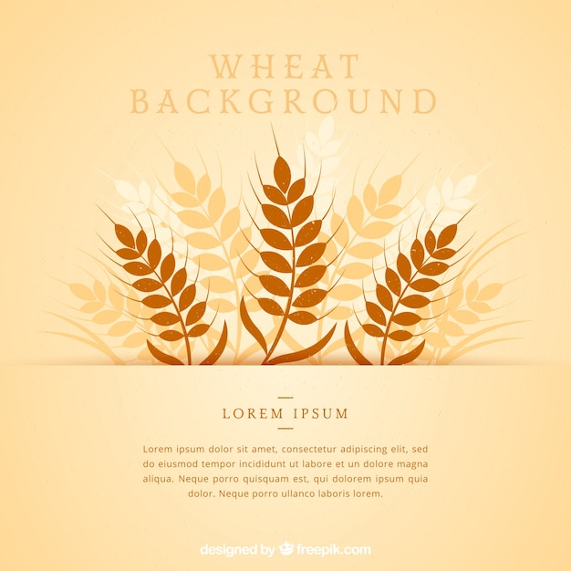 Vector flat wheat background