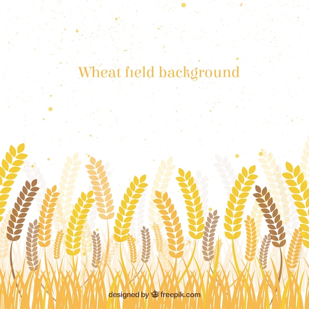 Vector flat wheat background