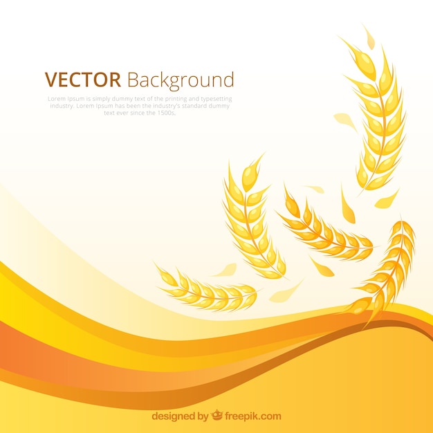 Flat wheat background