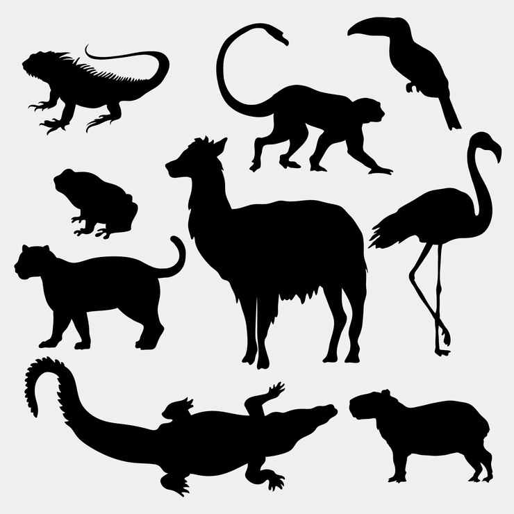 Vector flat wild animals silhouettes collection
