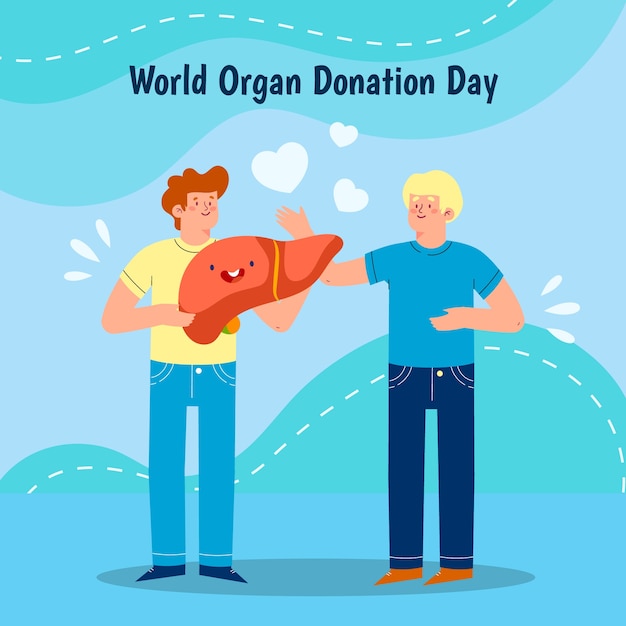 Illustrazione della giornata mondiale della donazione di organi piatta con persone che tengono il fegato