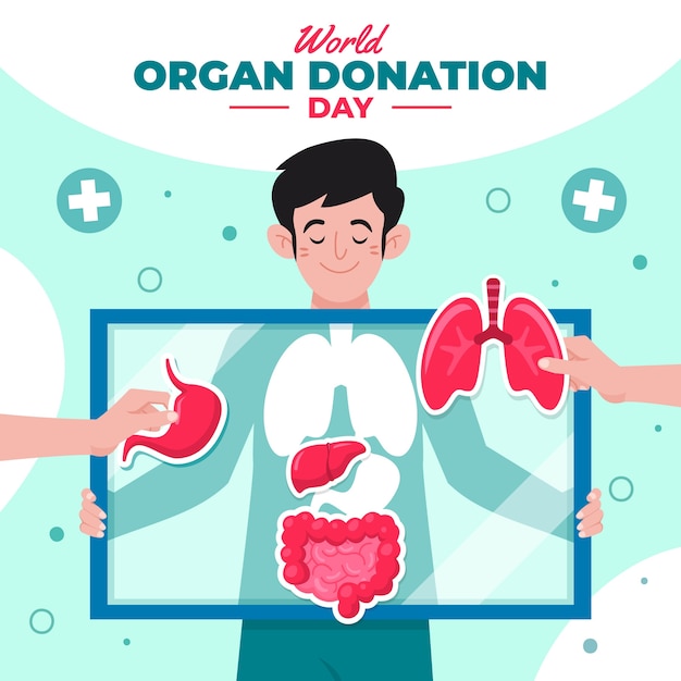 Flat world organ donation day illustration with person showing organs in x-ray