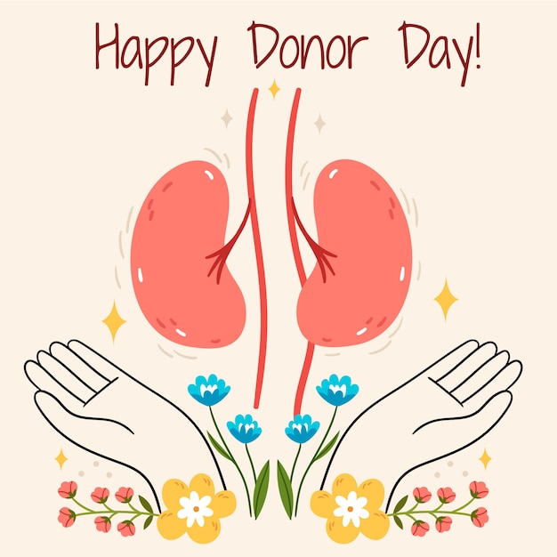 Illustrazione della donazione di organi del mondo piatto con i reni