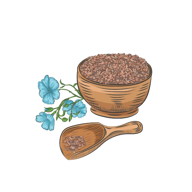 Flax seeds in bowl and scoop vector illustration