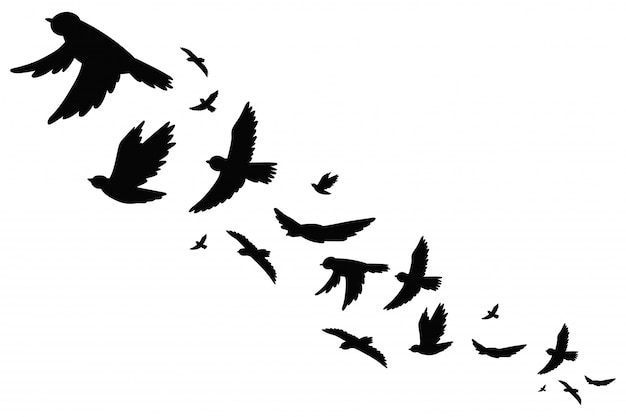 Flock of bird migration black silhouette in flying. vector illustration isolated.
