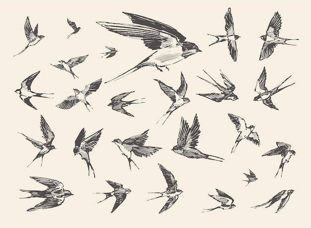 A flock of birds, flying swallows, hand drawn vector illustration, sketch