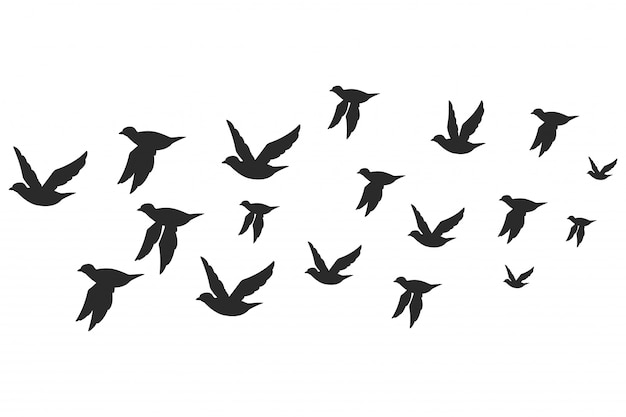 Flock of doves or pigeons black silhouette in flying