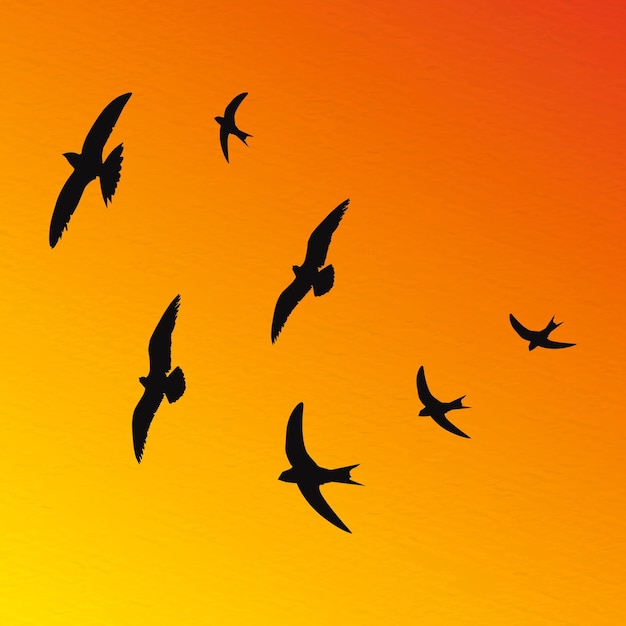 Vector flock of flying birds in a set of vector silhouettes