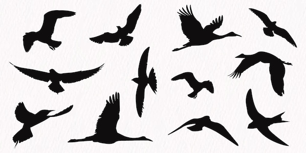 Flock of flying birds in a set of vector silhouettes