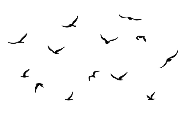 A flock of flying silhouette birds Black on white background Vector illustration