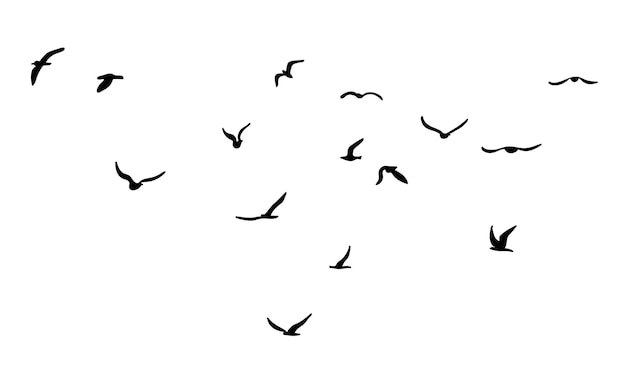 A flock of flying silhouette birds Black on white background