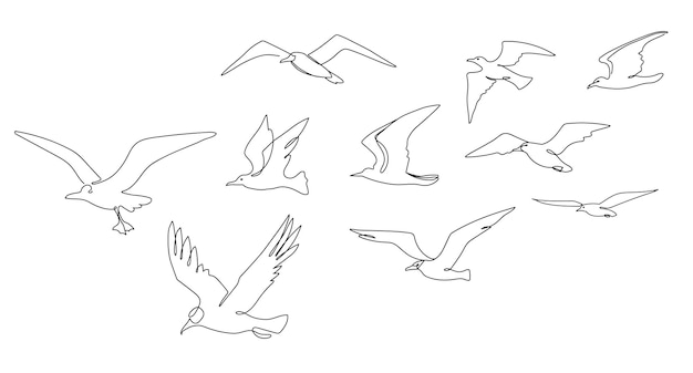 갈매기의 무리 함께 비행 한 줄 갈매기와 바다 새 벡터 스케치 그림