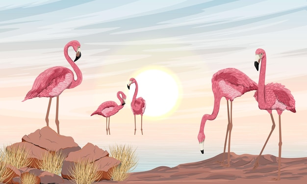 A flock of red flamingos on the seashore phoenicopterus ruber or caribbean flamingo