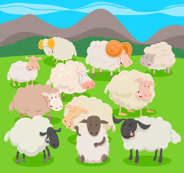 Vector flock of sheep characters cartoon illustration