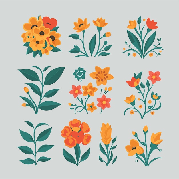 Vector flora graphic design