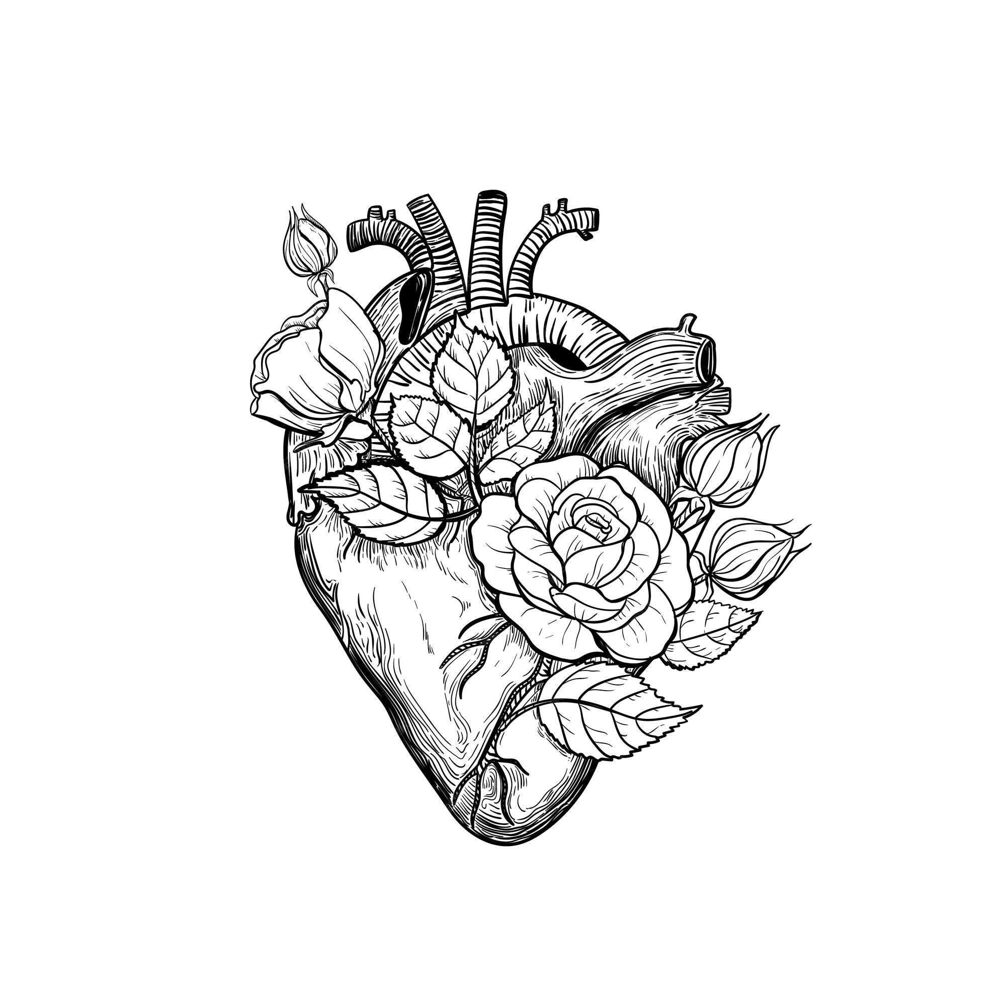 Premium Vector | Floral anatomical human heart heart vintage tattoo print  with heart in blooming roses