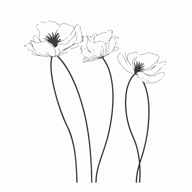 Illustrazioni di anemone floreale in diverse posizioni perfette per disegni a tema primaverile