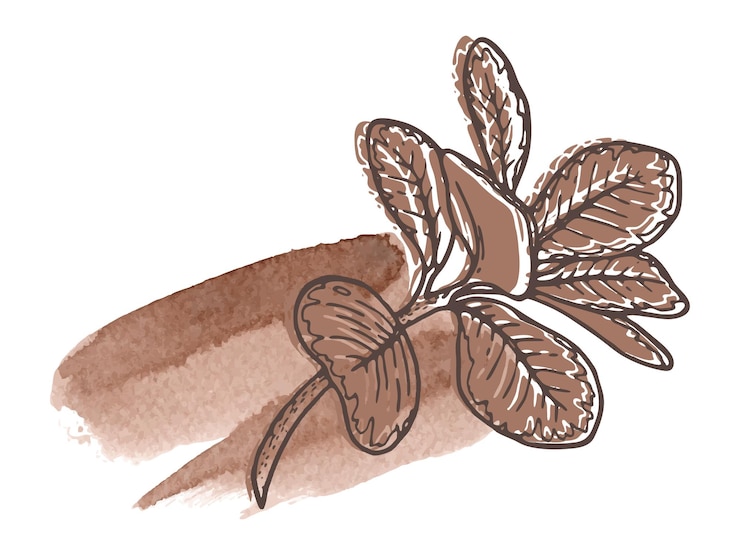 Vector floral arrangement in the 2025 color of the year mocha mousse hand drawn plant with watercolor stain