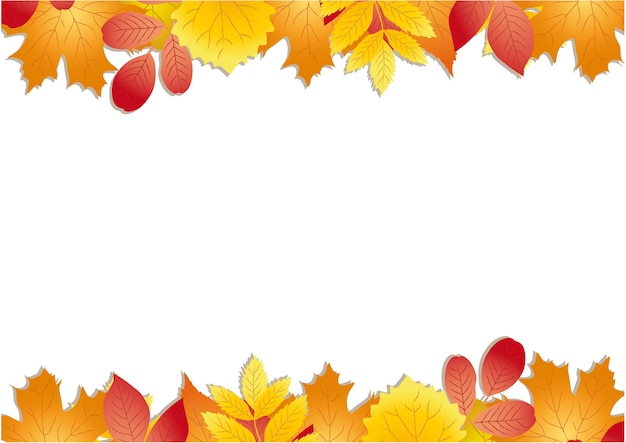 Floral autumn frame