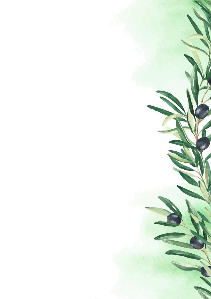 Vector floral background card template with black olive branches and watercolor splashes for save the date