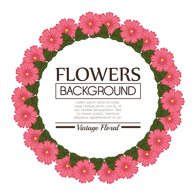 Floral background decorative frame vector illustration design