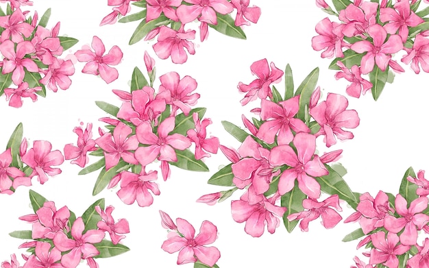 Vector floral background with oleanders composition