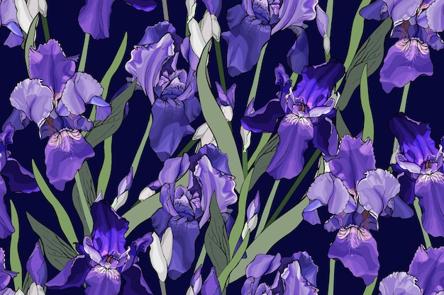 Floral black background with violet irises Seamless pattern with purple flowers and green leaves