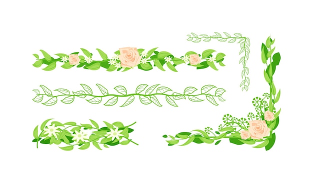 Vector floral border and divider set isolated on white background