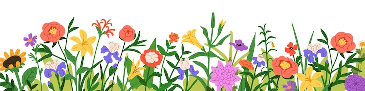 Vector floral border meadow flowers and grass blooming plants wildflowers field blossoms horizontal botanical decoration natural summer panorama flat vector illustration isolated on white background