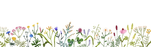 Bordo floreale con fiori selvatici primaverili. banner botanico con piante erbacee, fioriture per la decorazione. delicati fiori di campo e prati. illustrazione vettoriale piatta colorata isolata su sfondo bianco