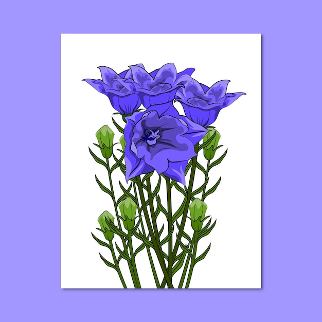 Vector floral botanical flower vector illustration drawing