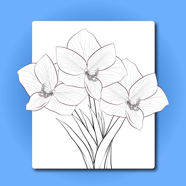 Vettore disegno di illustrazione vettoriale di fiori botanici floreali