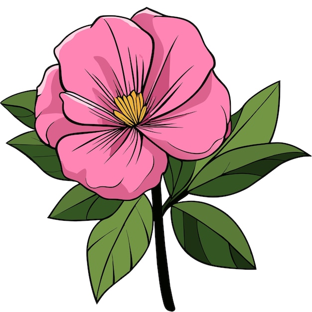 Vector floral bouquet flower illustration