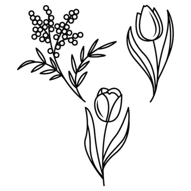 ロゴやタトゥーのための花の枝とミニマリストの葉 手描きの線 結婚のハーブ エレガントな花