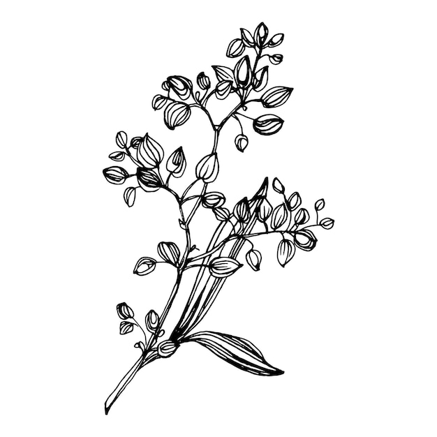 Vector floral branch isolated