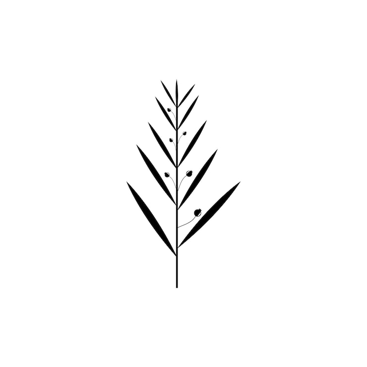 Vector floral branch and minimalist flowers for logo or tattoo