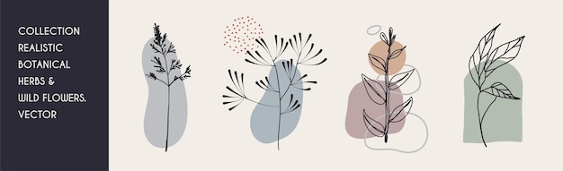 花の枝とミニマリストの葉手描きのラインウェディングハーブエレガントな野生の花ミニマルライン