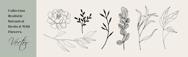 Floral branch and minimalist leaves Hand drawn line wedding herb elegant wildflowers