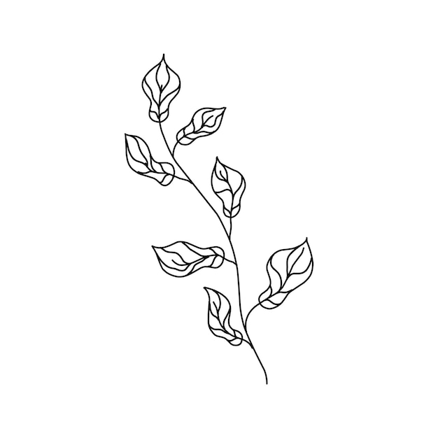 Vector floral branch and minimalist leaves for logo or tattoo hand drawn line wedding herb