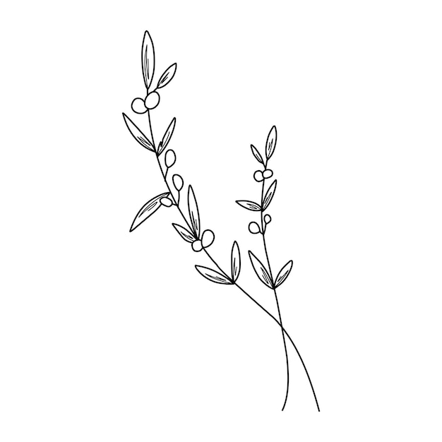 Floral branch and minimalist leaves for logo or tattoo hand drawn line wedding herb