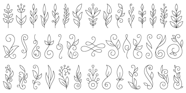 Vector floral branch ornament hand drawn flower doodle line set, plant brush collection.